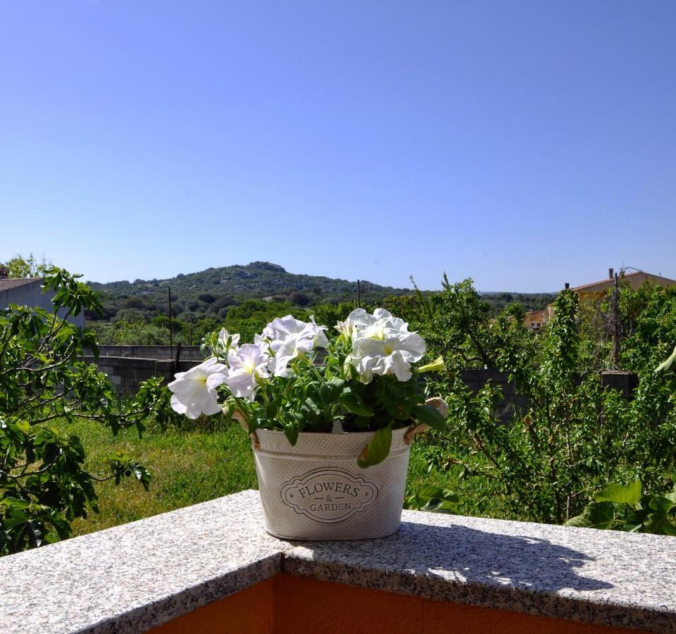 Casa Duminicheddha, Mare E Relax In Gallura Bassacutena Eksteriør bilde