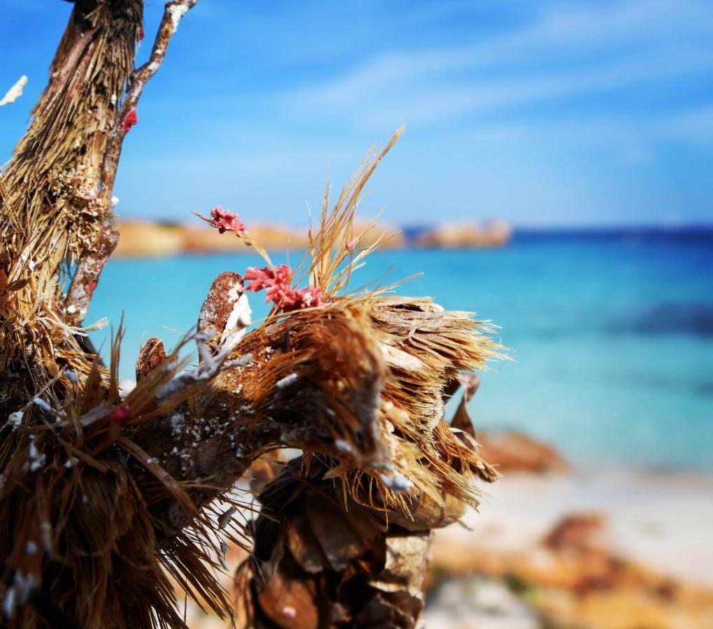 Casa Duminicheddha, Mare E Relax In Gallura Bassacutena Eksteriør bilde
